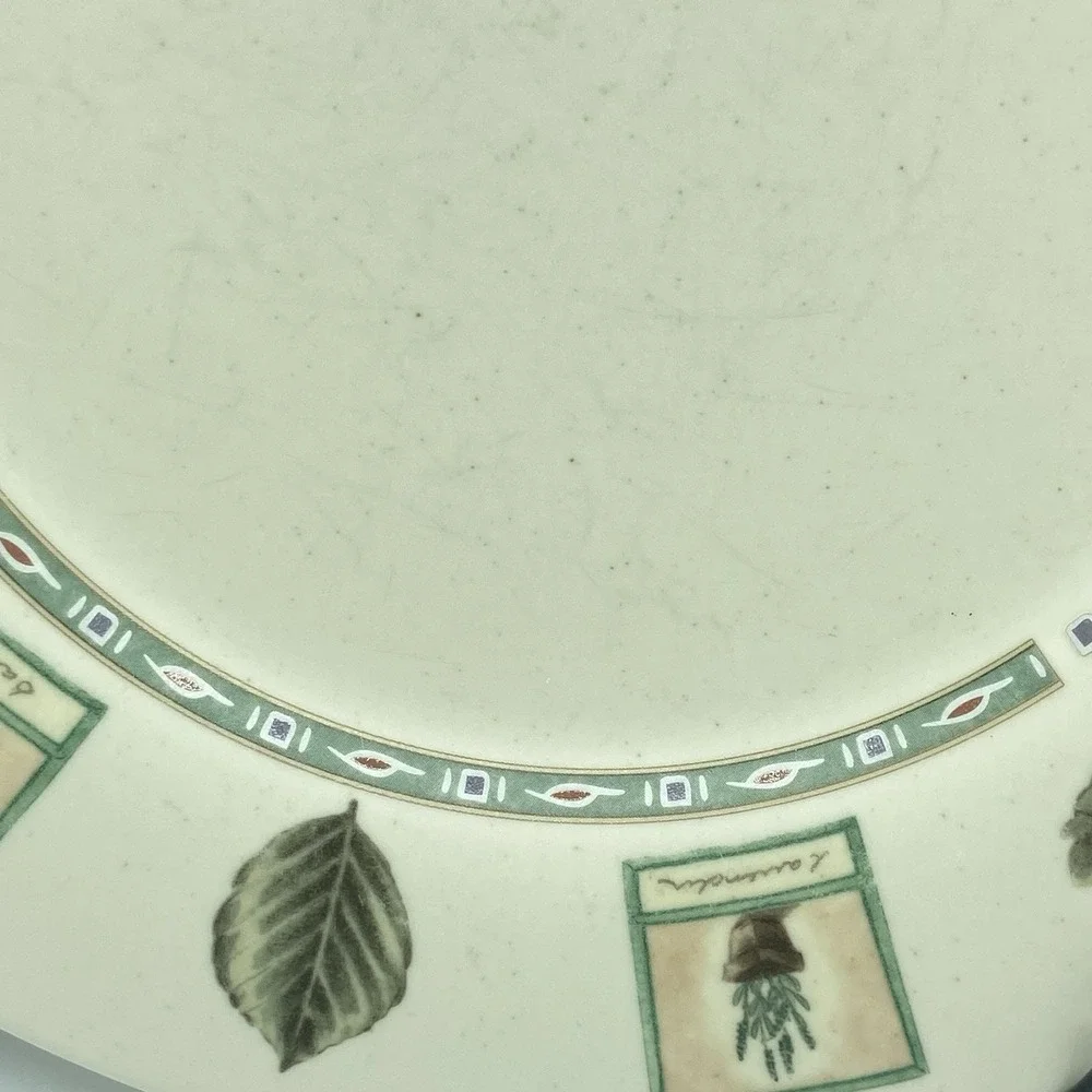 Portfolio Pfaltzgraff Naturewood Dinner Plates 11